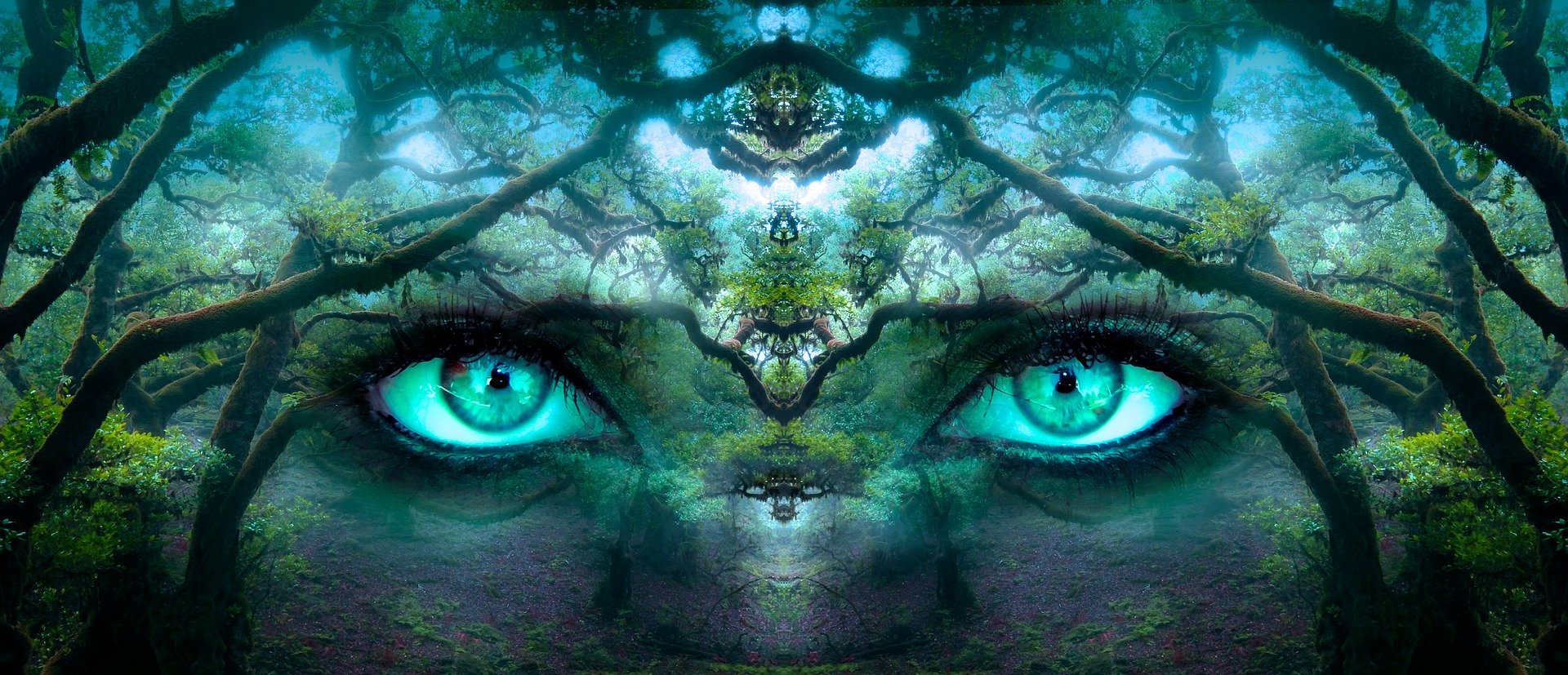 The Tribal Vibe: Workshops - Retreats - Festival